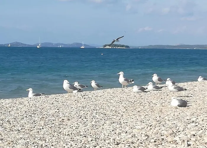 In With Terrace, Air Conditioning, Wifi Pirovac